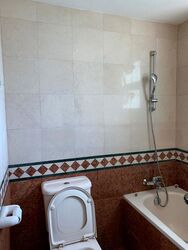 Hillview Green (D21), Condominium #460555841